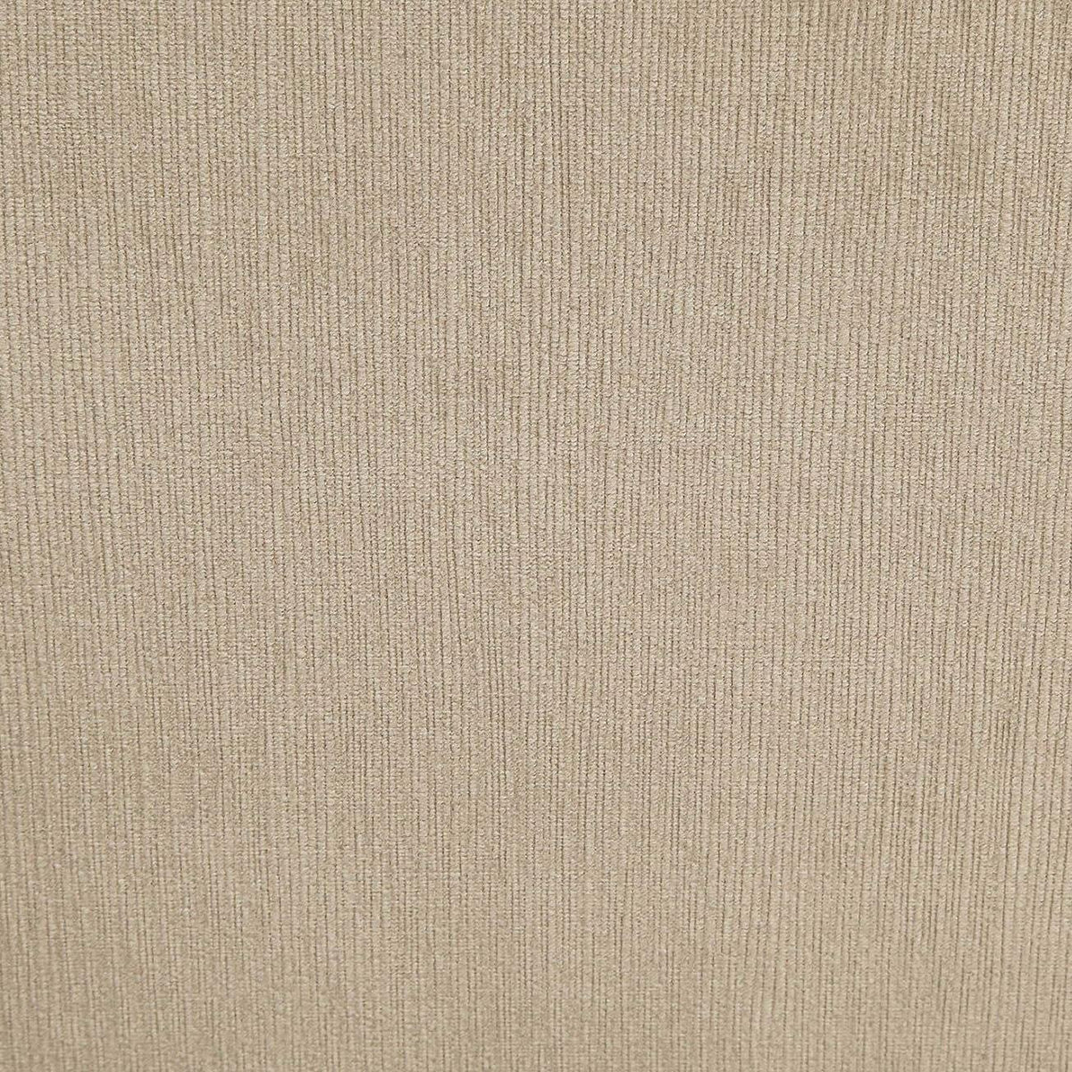 Furniture of America Cayla California King Upholstered Bed CM7779IV-EK-BED IMAGE 5
