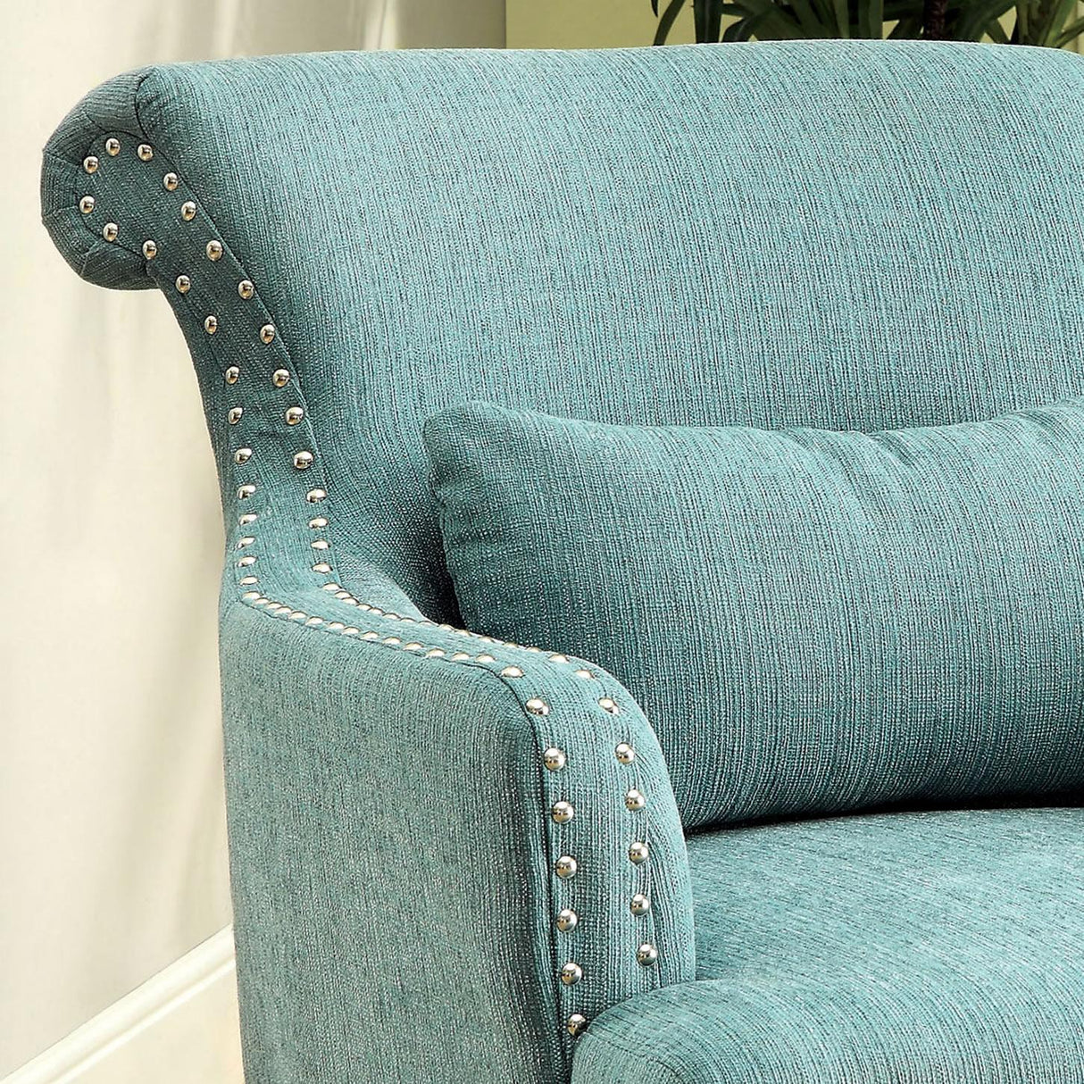 Furniture of America Agalva Stationary Fabric Accent Chair CM-AC6113BL IMAGE 3