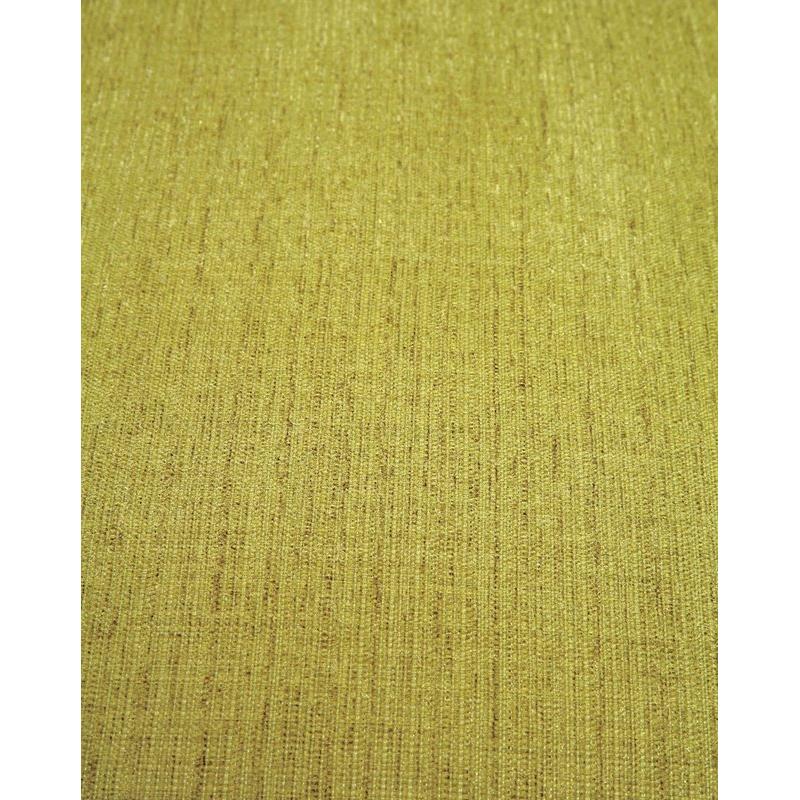 Furniture of America Agalva Stationary Fabric Accent Chair CM-AC6113GR IMAGE 3