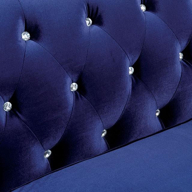 Furniture of America Jolanda CM6159BL-CH-VN Chair IMAGE 2