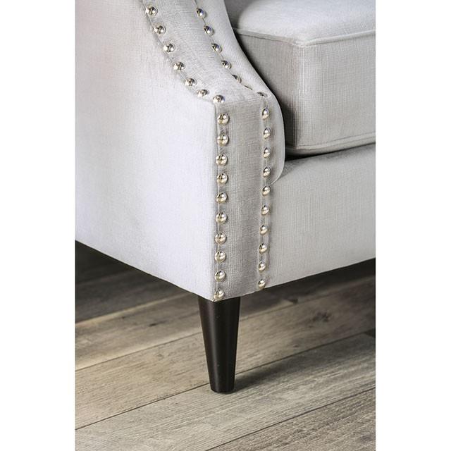 Furniture of America Tegan SM2218-LV Love Seat IMAGE 3