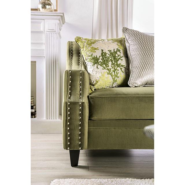 Furniture of America Kaye SM2684-SF Sofa IMAGE 6