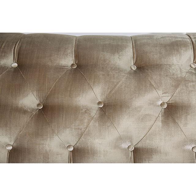 Furniture of America Elicia SM2685-LV Love Seat IMAGE 9