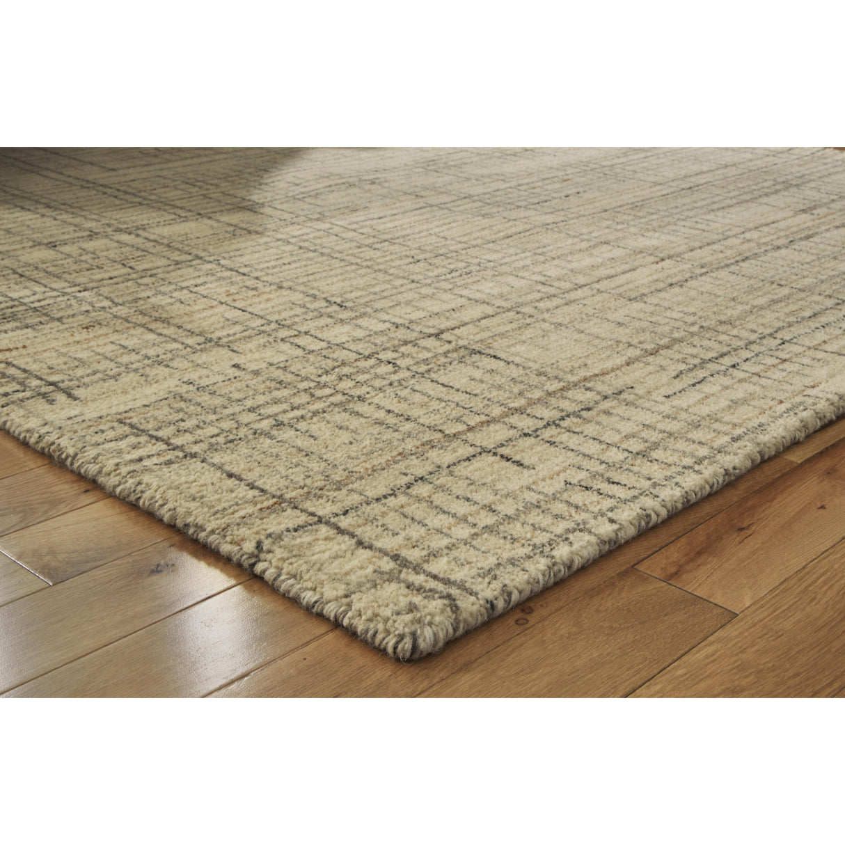 Signature Design by Ashley Janston R406862 Medium Rug IMAGE 3