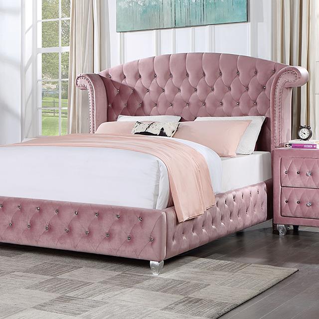Furniture of America Zohar CM7130PK-Q Queen Bed IMAGE 1