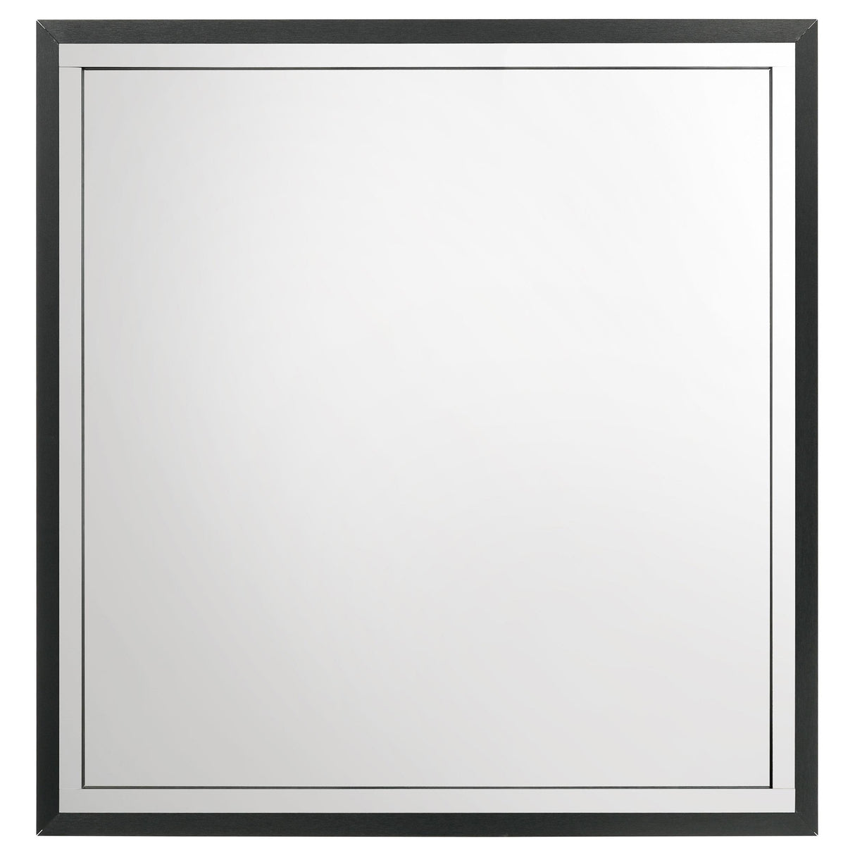 Coaster Furniture Lucia 224994 Dresser Mirror - Black IMAGE 3