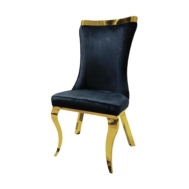Furniture of America Basilicata FM33013BK-SC-2PK Set Of 2 Gold Chair IMAGE 1