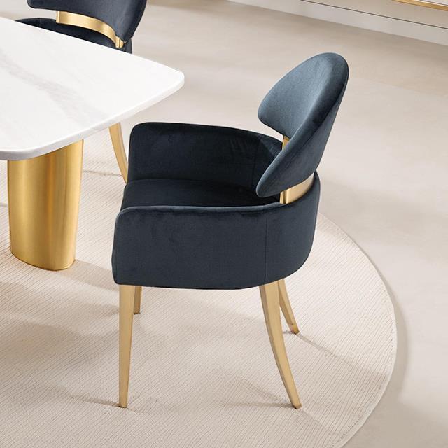Furniture of America Northall FM37005BK-AC-2PK Set Of 2 Arm Chair IMAGE 1