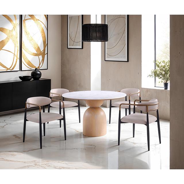 Furniture of America Neasden FM37003NT-AC-2PK Set Of 2 Side Chair IMAGE 2