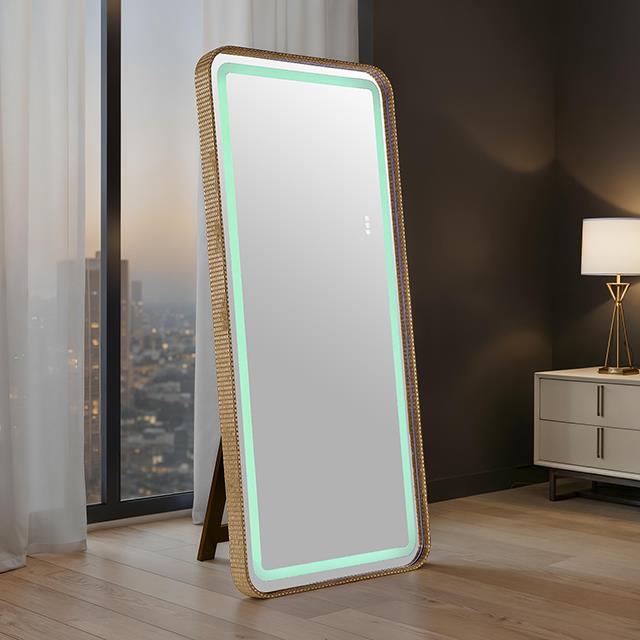 Furniture of America Kiley FM-AC8025GD-M Floor Mirror IMAGE 1