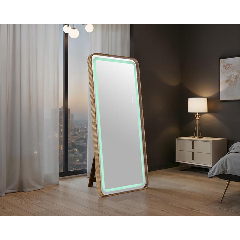 Furniture of America Kiley FM-AC8025GD-M Floor Mirror IMAGE 2