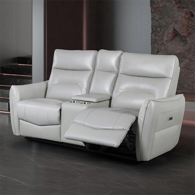 Furniture of America Terentius FM69006TP-LV-PM Power Loveseat IMAGE 1