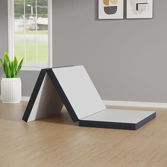 Furniture of America Hollyhock DM1003-T 3" Twin Tri-Fold Memory Foam Topper IMAGE 1