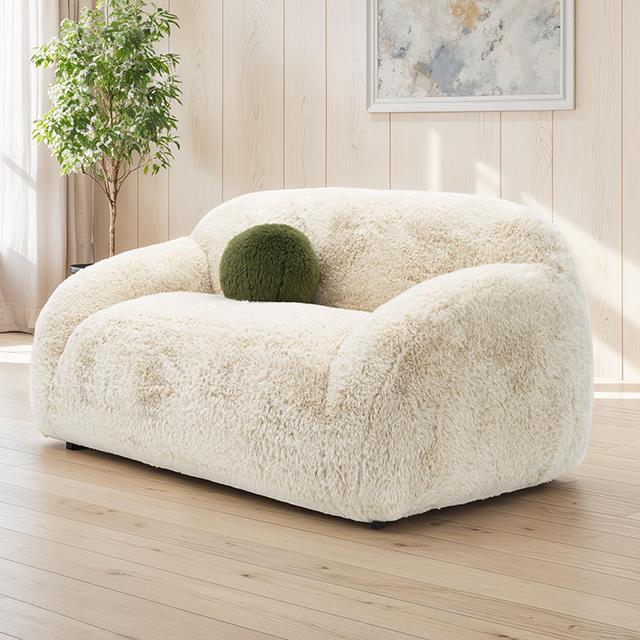Furniture of America Darwen FM64006BG-LV Loveseat IMAGE 1