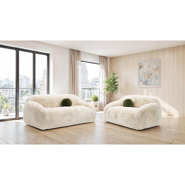 Furniture of America Darwen FM64006BG-LV Loveseat IMAGE 2