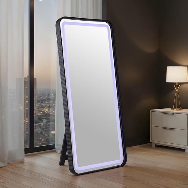 Furniture of America Kiley FM-AC8025BK-M Floor Mirror IMAGE 1