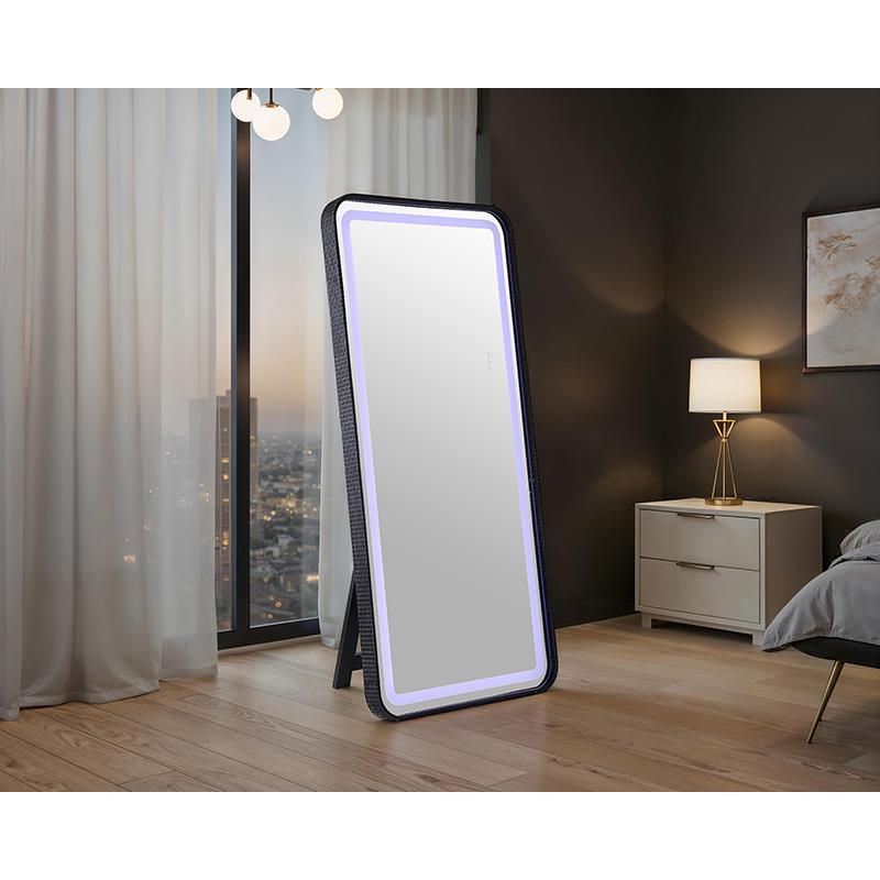 Furniture of America Kiley FM-AC8025BK-M Floor Mirror IMAGE 2