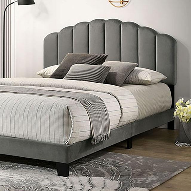 Furniture of America Christi TM7001DG-Q Queen Bed IMAGE 1