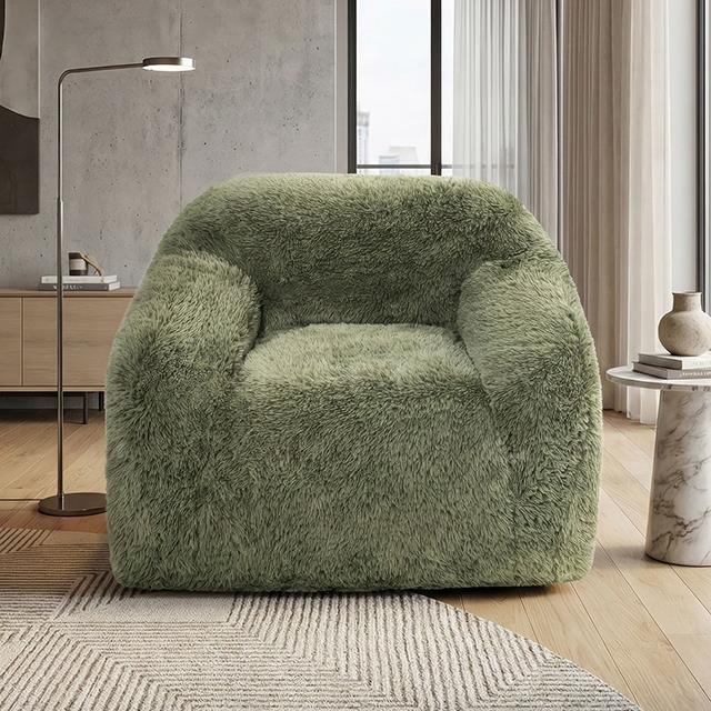 Furniture of America Vander FM67009GR-CH Accent Chair IMAGE 1