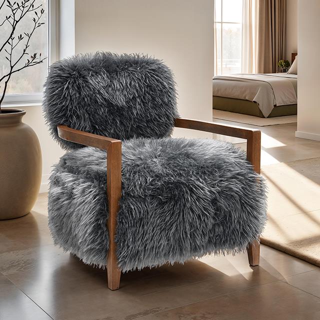 Furniture of America Eramo FM-AC6005DG Accent Chair IMAGE 1