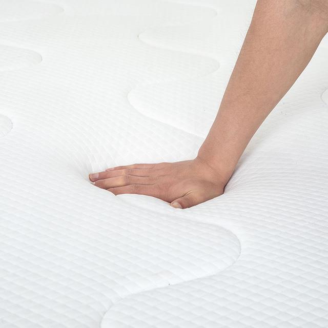 Furniture of America Catmint DM912-T 12" Twin Innerspring Mattress IMAGE 3