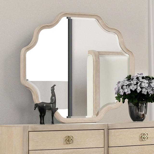 Furniture of America Candra FM7424AK-M Mirror IMAGE 1