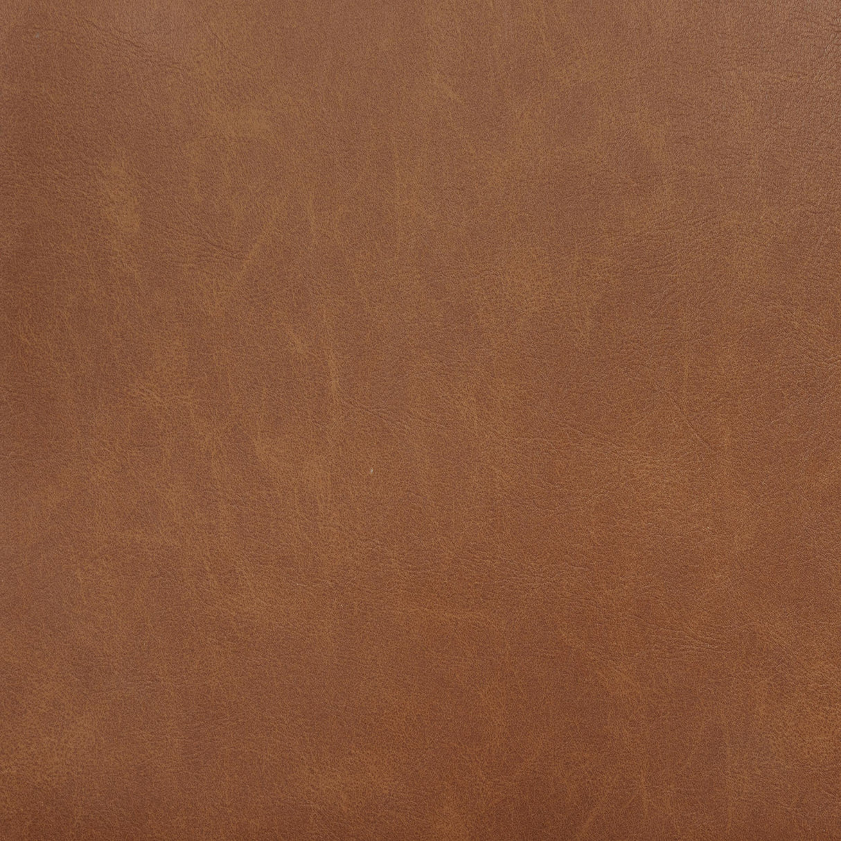 Coaster Furniture Tegan 107072 Set of 2 Faux Leather Upholstered Dining Side Chair - Cognac IMAGE 7