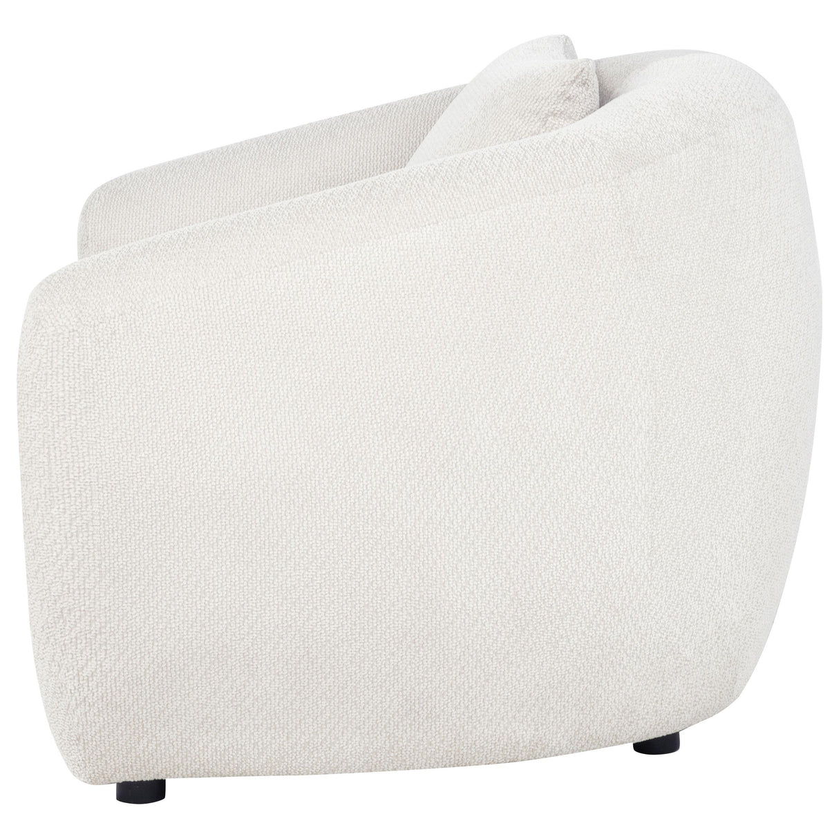 Coaster Furniture Isabella 504973 Fabric Upholstered Accent Chair - Sand IMAGE 6