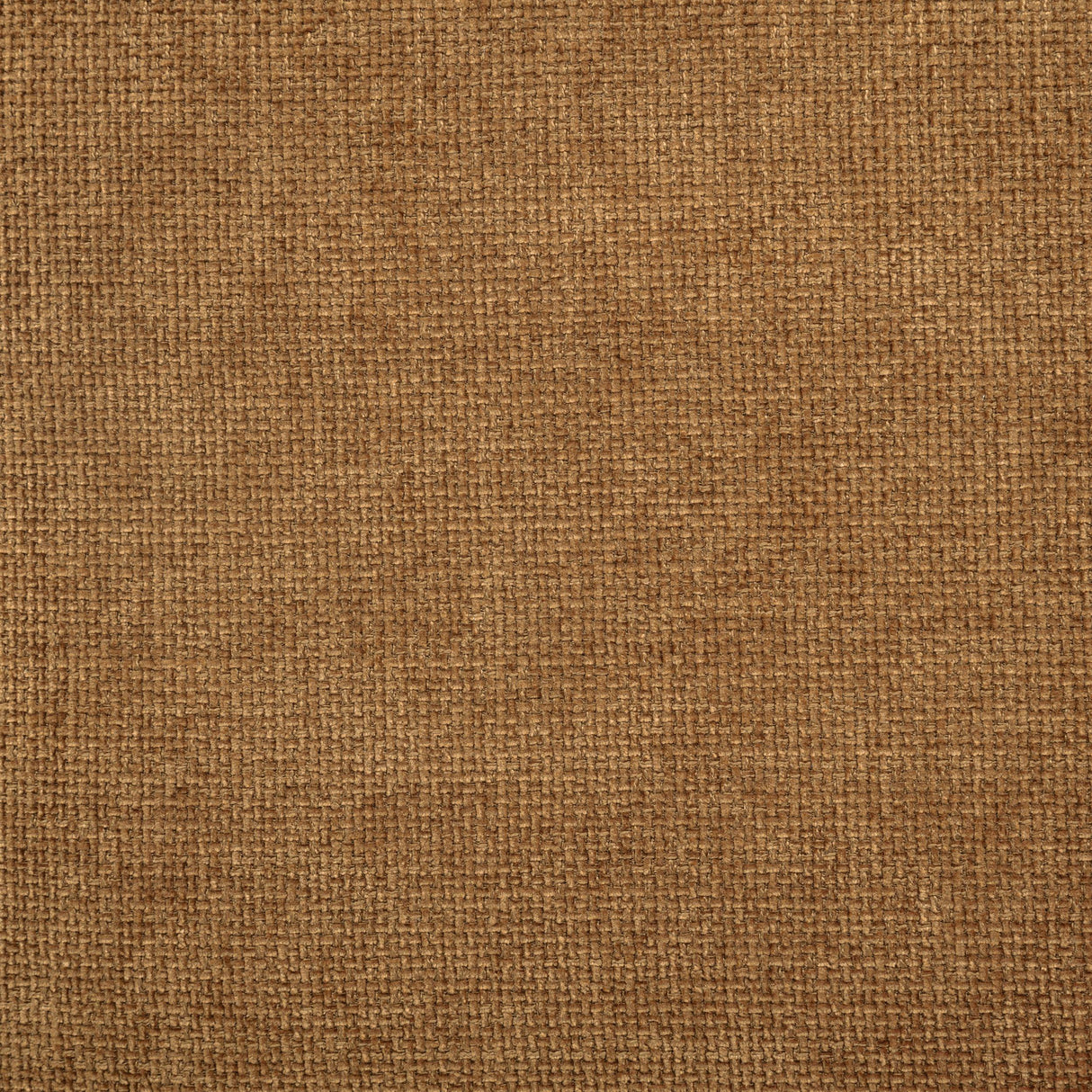 Coaster Furniture Octavia 509343 Upholstered Track Arm Accent Chair - Amber IMAGE 7