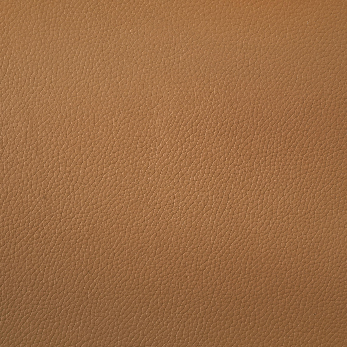 Coaster Furniture Buxton 509502 Top Grain Leather Upholstered Loveseat - Orange IMAGE 9