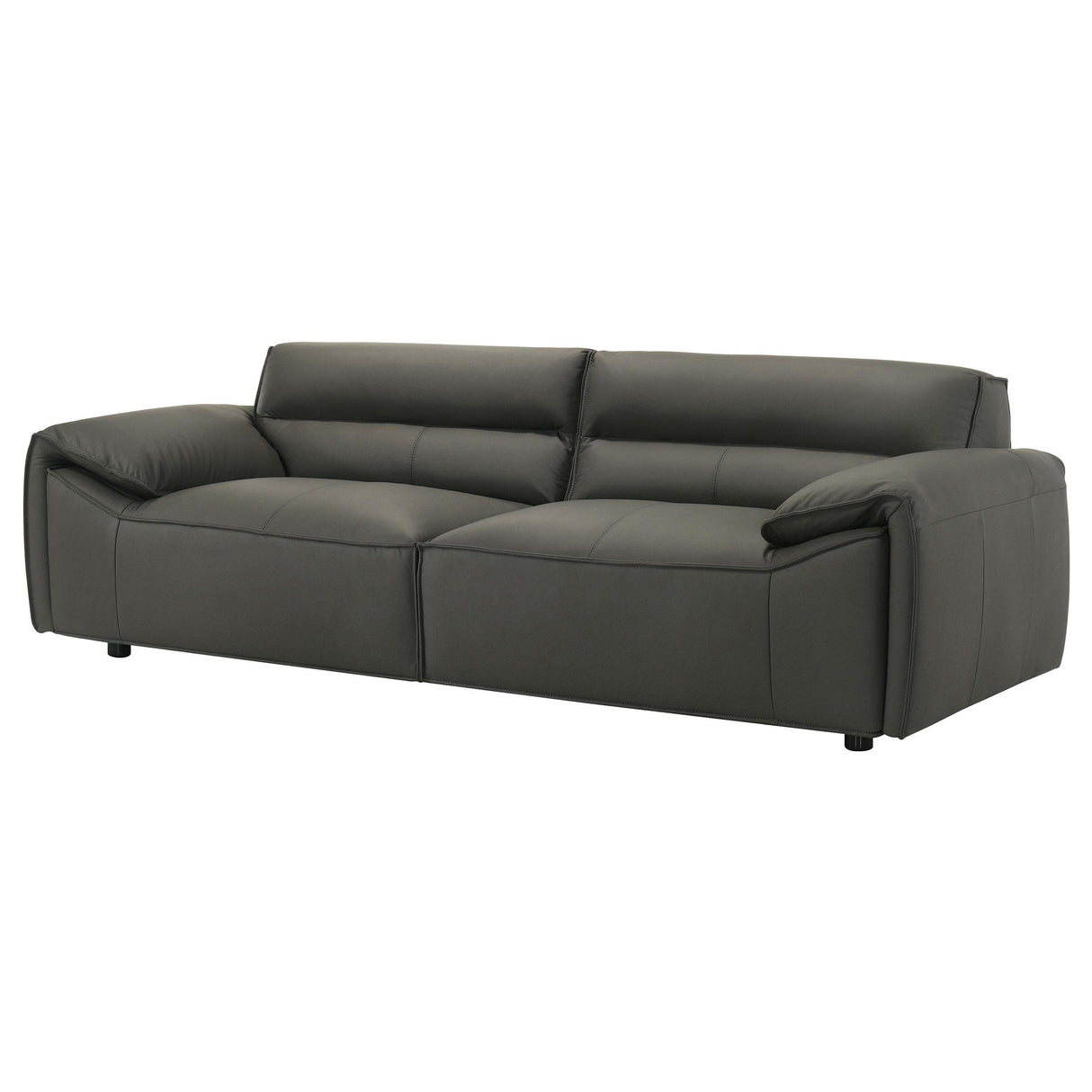 Coaster Furniture Buxton 509504 Top Grain Leather Upholstered Sofa - Graphite IMAGE 11