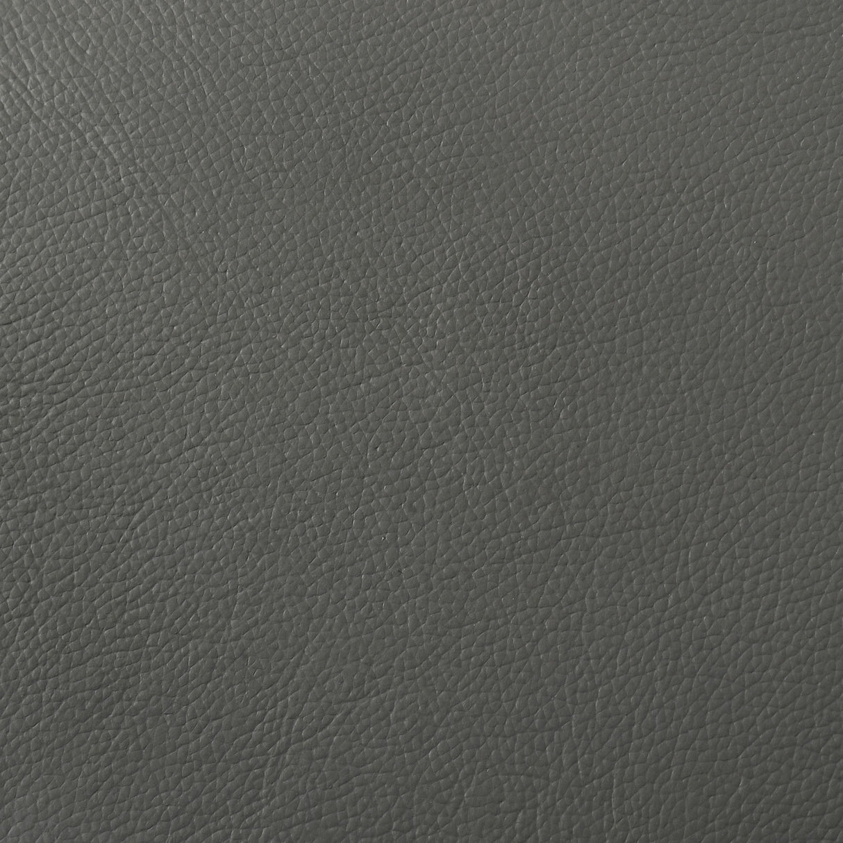 Coaster Furniture Buxton 509505 Top Grain Leather Upholstered Loveseat - Graphite IMAGE 9