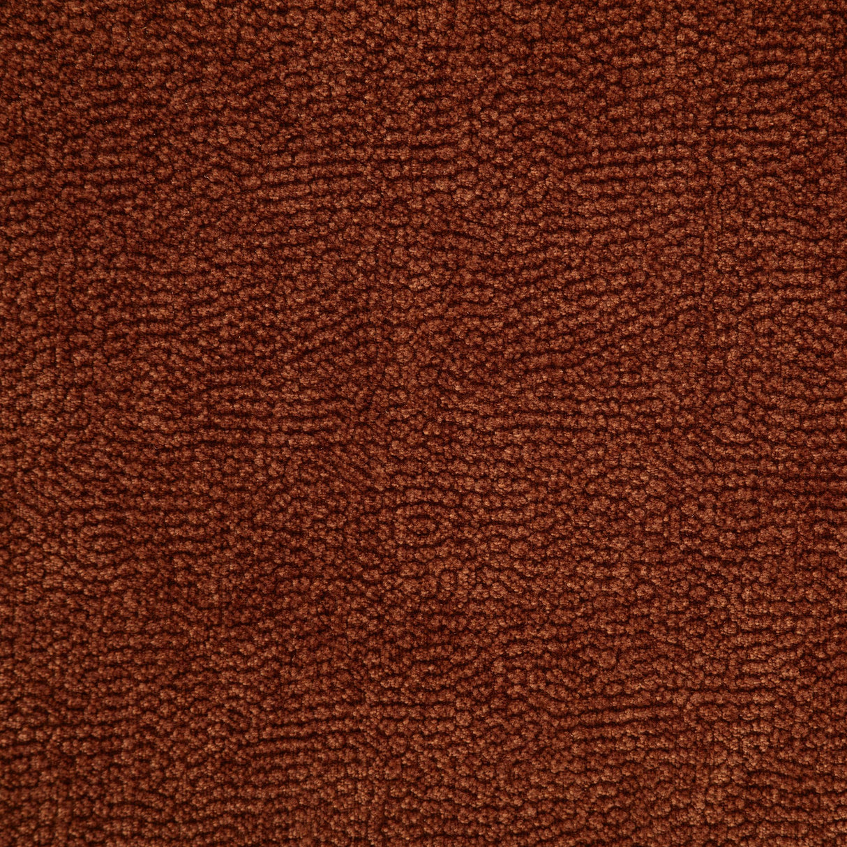 Coaster Furniture Navarro 609575 Chenille Upholstered Reclining Loveseat - Burnt Orange IMAGE 8