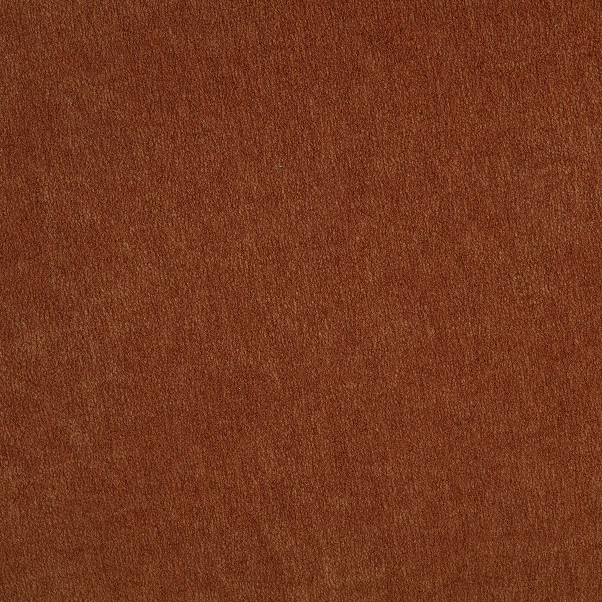 Coaster Furniture Arnaud 903488 Chenille Upholstered Swivel Accent Chair - Burnt Orange IMAGE 4