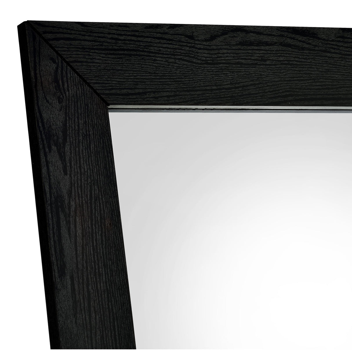 Coaster Furniture Cadence 961653 Tempered Glass Full Length Standing Mirror - Black Oak IMAGE 3