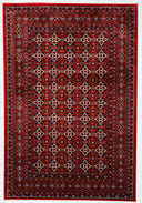 CASABLANCA Rug Design 1024
