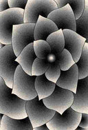 PREMIUM Rug Design 11301