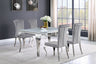 Carone 5-Piece 61" Rectangular Dining Set