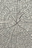 K&D RUG DESIGN 12012