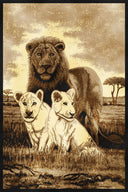 MOMENTO Rug DESIGN 12041