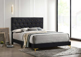 Kendall Tufted Panel Bed Black And Gold