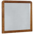  Coaster Furniture Robyn 205134 Dresser Mirror - Dark Walnut IMAGE 1