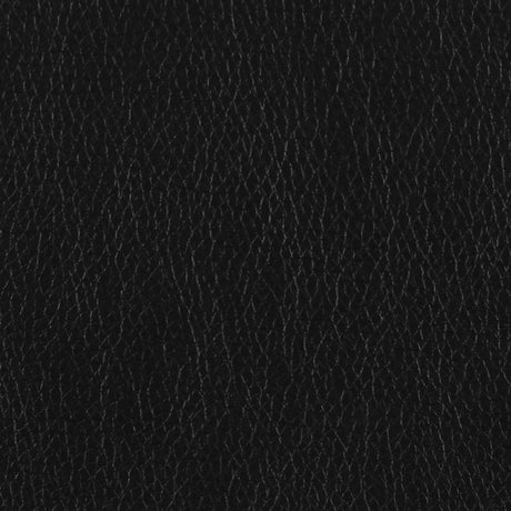  Coaster Furniture Finley 506551 Upholstered Padded Arm Tufted Sofa - Black IMAGE 7
