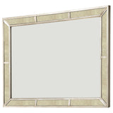  Furniture of America Loraine Dresser Mirror CM7195M IMAGE 1