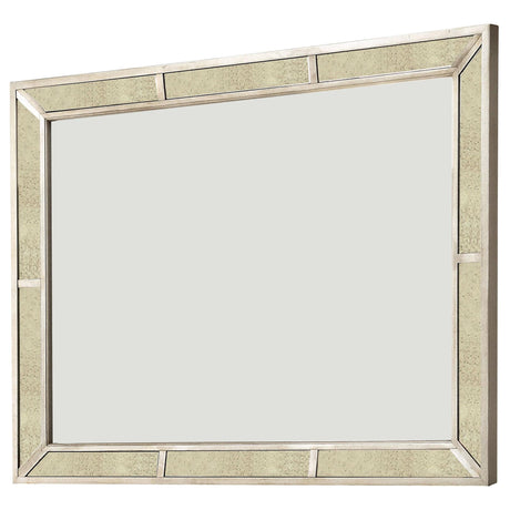  Furniture of America Loraine Dresser Mirror CM7195M IMAGE 1