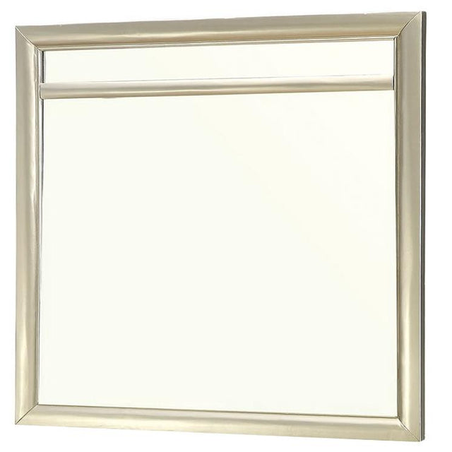  Furniture of America Briella CM7101M Mirror IMAGE 1