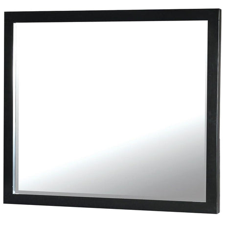  Furniture of America Hamberg Dresser Mirror CM7693M IMAGE 1