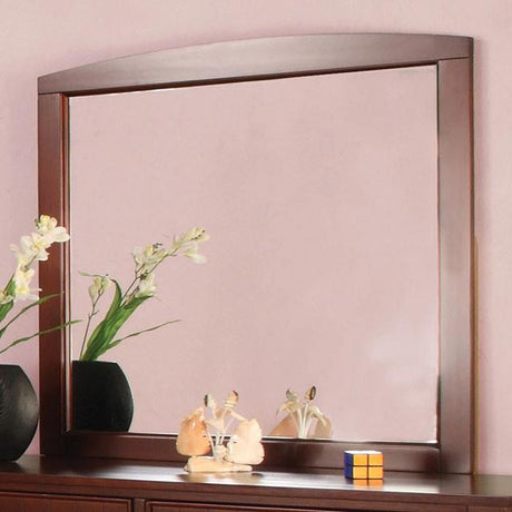  Furniture of America Kids Dresser Mirrors Mirror CM7905CH-M IMAGE 2