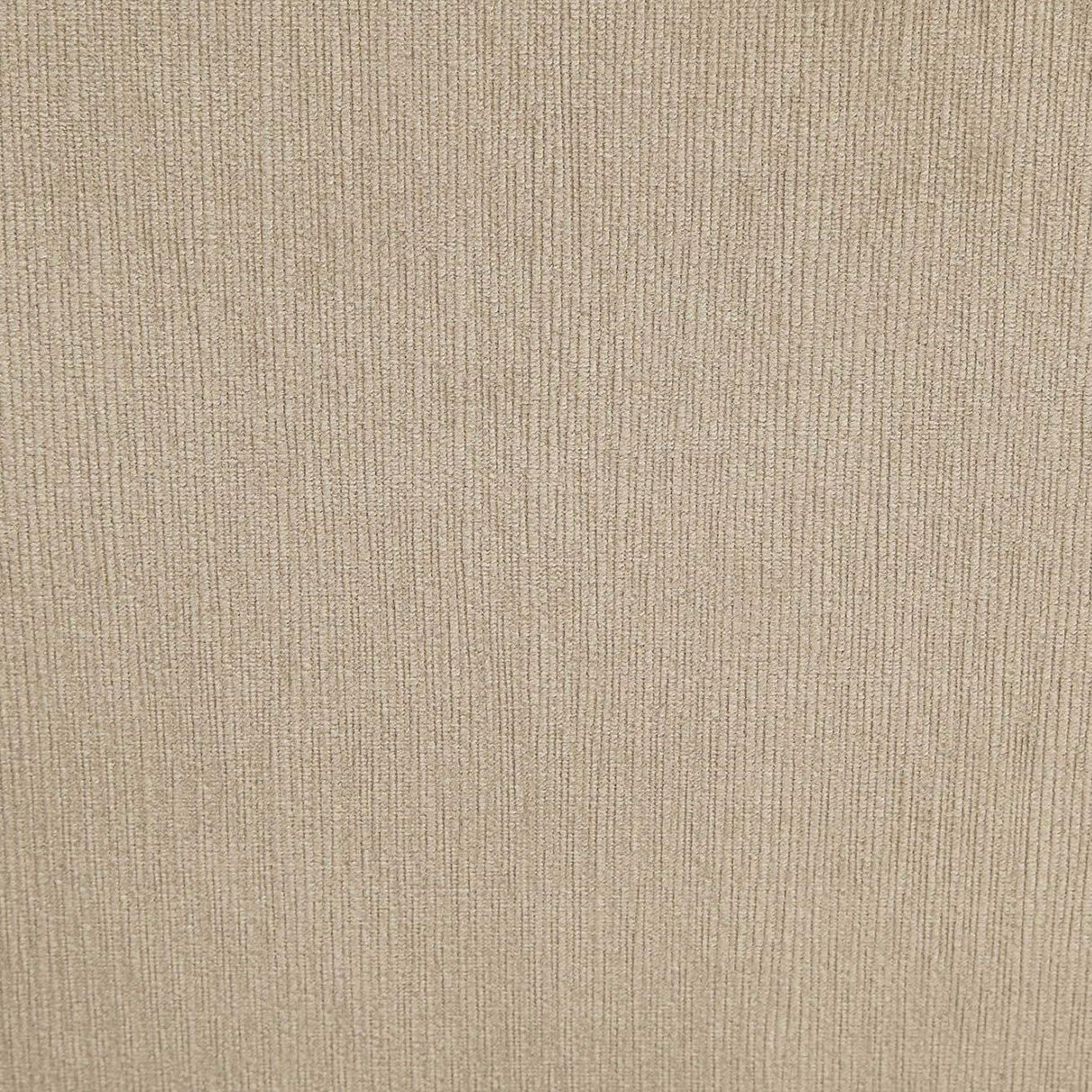  Furniture of America Cayla California King Bed CM7779IV-CK-BED IMAGE 5