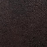  Furniture of America Pondera Leather Look Recliner CM6568-CH IMAGE 3